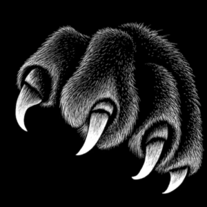 CLAW AND PAW DESIGNS